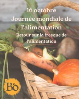 Pour aller plus loin :
www.fao.org/world-food-day/take-action/what-can-you-do/fr
Sources :
www.fao.org/world-food-day/about/fr
www.solidarites.gouv.fr/journee-mondiale-de-lalimentation-2025-une-mobilisation-sans-frontieres
Fresque de l'alimentation